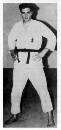elvis.jpg (38971 Byte)