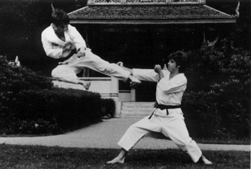 karate04.gif (30062 Byte)
